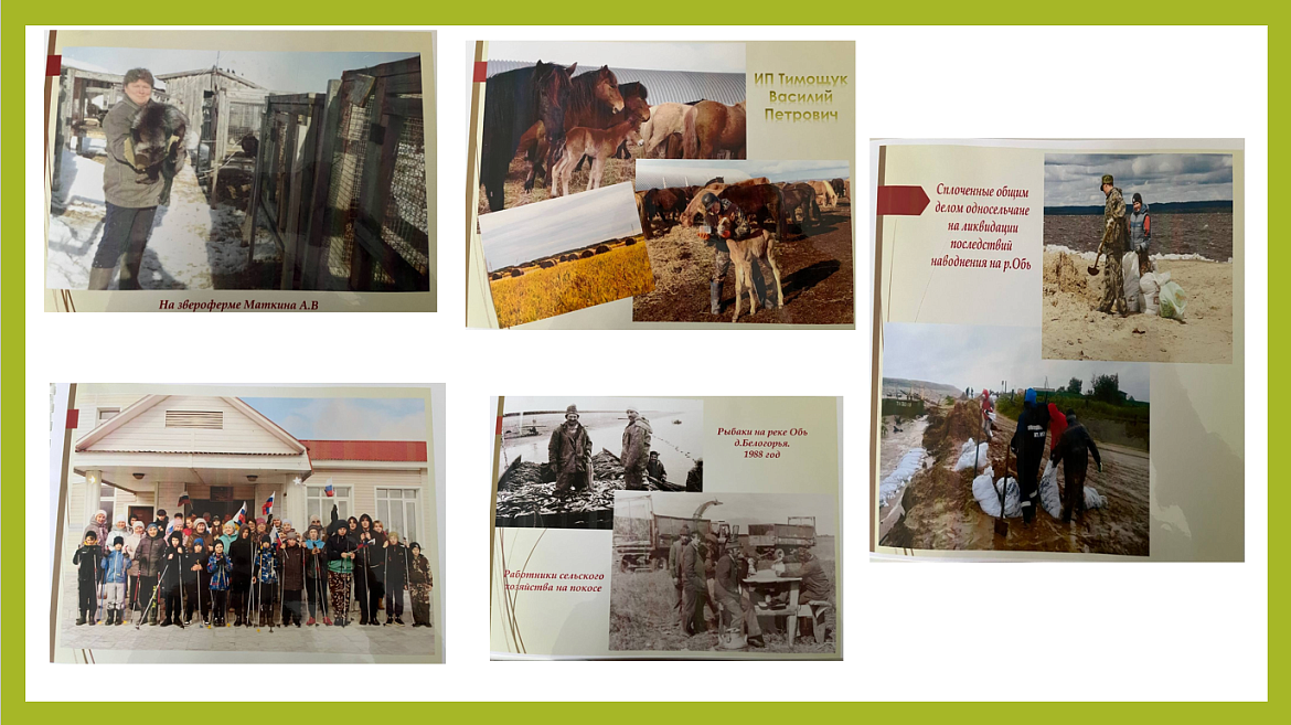 История деревни Белогорье